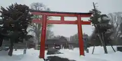 北海道護國神社の鳥居