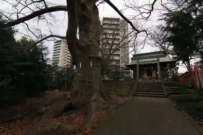 愛宕神社の本殿・本堂