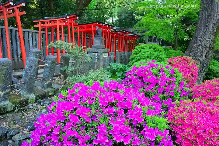 根津神社(東京都)