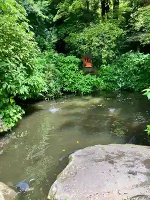 箱根神社(神奈川県)