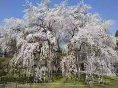 足羽神社の自然