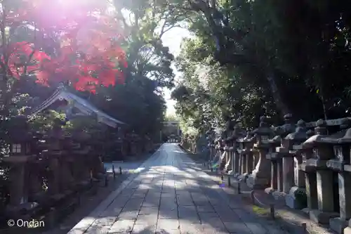 石清水八幡宮(京都府)
