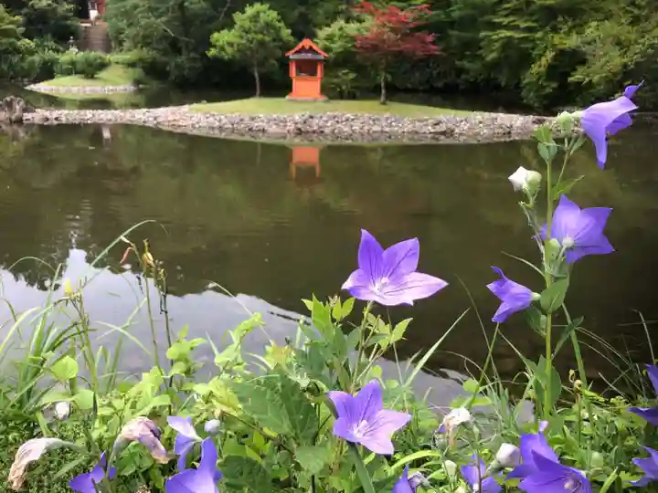浄瑠璃寺の自然