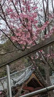 安岡寺(大阪府)