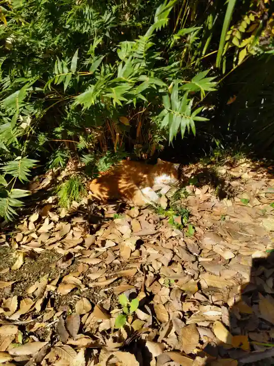 正泉寺(神奈川県)