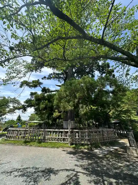 日高神社(岩手県)