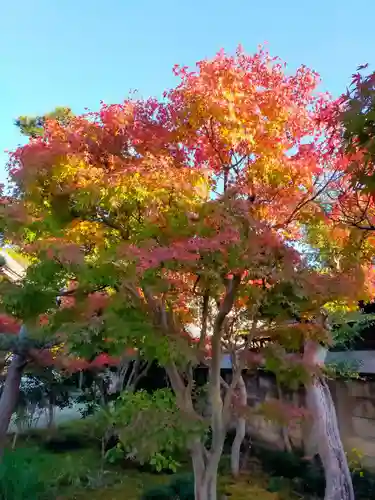 法林寺(奈良県)