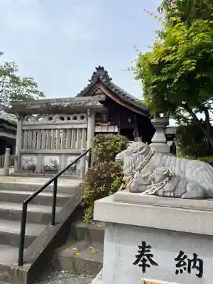 別小江神社⛩️を参拝→名前がかわいいと思い近くだったので、羊神社⛩️も参拝させていただきました。
境内には羊像が沢山ありました。
参拝している間に女性の方が御朱印を用意してくださいました。
