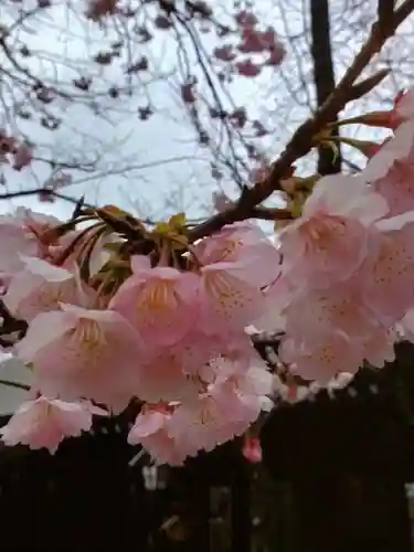 靖國神社(東京都)
