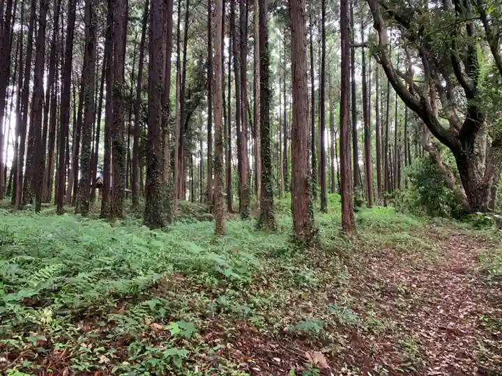 星宮大神(千葉県)