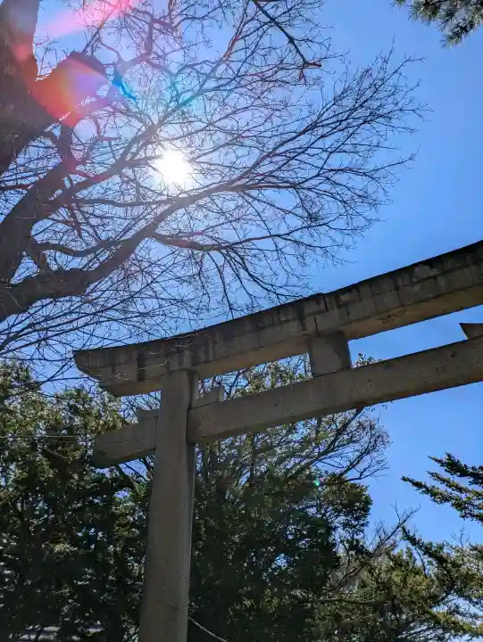 神山稲荷神社の{uncategorized: "未分類", other: "その他", undefined: "問題あり", building: "その他建物", grave: "お墓", sacred_gate: "鳥居", guardian: "狛犬", statue: "像", buddha: "仏像", history: "歴史", nature: "自然", garden: "庭園", animal: "動物", pagoda: "塔", temizu: "手水舎", mountain_gate: "山門・神門", sanctuary: "本殿・本堂", subordinate: "末社・摂社", art: "芸術", scenery: "景色", jizo: "地蔵", ema: "絵馬", goshuin: "御朱印", omikuji: "おみくじ", items: "授与品その他", amulet: "お守り", goshuincho: "御朱印帳", eats: "食事", festival: "お祭り", votive_dance: "神楽", shichigosan: "七五三参", wedding: "結婚式", experience: "体験その他", initially: "初詣", around: "周辺", anti_infection: "感染症対策"}