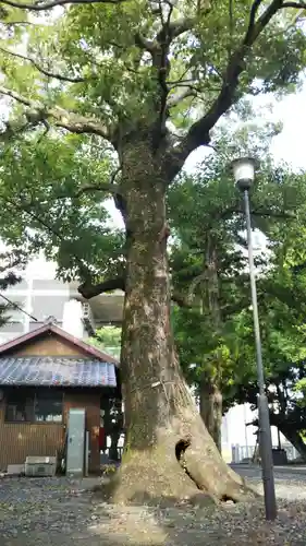 西宮神社の庭園