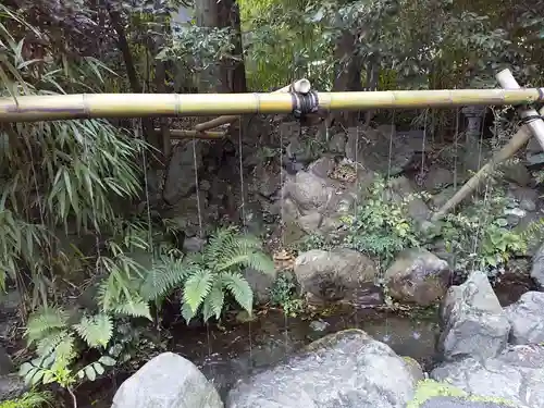 白笹稲荷神社の手水舎