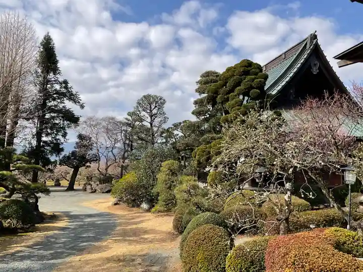 瑞雲寺(神奈川県)