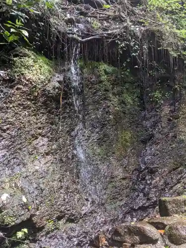 日龍峯寺(高澤観音)(美濃清水)の自然