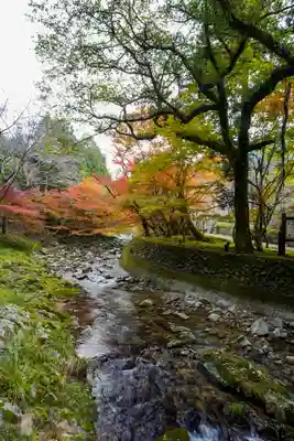 大寧寺(山口県)