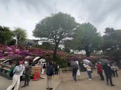 根津神社の{uncategorized: "未分類", other: "その他", undefined: "問題あり", building: "その他建物", grave: "お墓", sacred_gate: "鳥居", guardian: "狛犬", statue: "像", buddha: "仏像", history: "歴史", nature: "自然", garden: "庭園", animal: "動物", pagoda: "塔", temizu: "手水舎", mountain_gate: "山門・神門", sanctuary: "本殿・本堂", subordinate: "末社・摂社", art: "芸術", scenery: "景色", jizo: "地蔵", ema: "絵馬", goshuin: "御朱印", omikuji: "おみくじ", items: "授与品その他", amulet: "お守り", goshuincho: "御朱印帳", eats: "食事", festival: "お祭り", votive_dance: "神楽", shichigosan: "七五三参", wedding: "結婚式", experience: "体験その他", initially: "初詣", around: "周辺", anti_infection: "感染症対策"}
