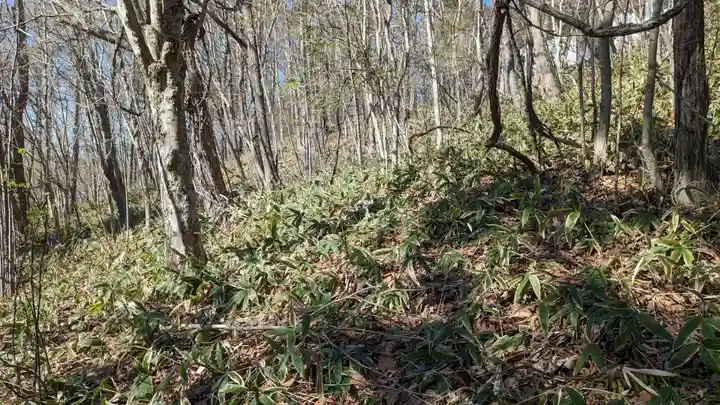 釧路神社の自然