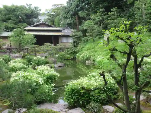 両足院の庭園