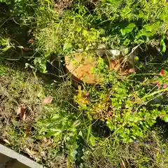 石切劔箭神社(大阪府)