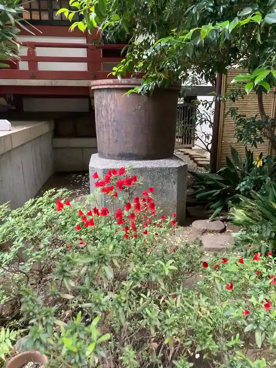青山熊野神社(東京都)