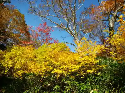 大雪山層雲峡神社(北海道)