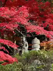 榮攝院（栄摂院）(京都府)