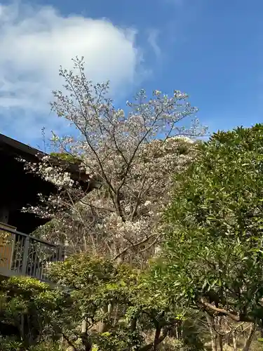 大船観音寺(神奈川県)