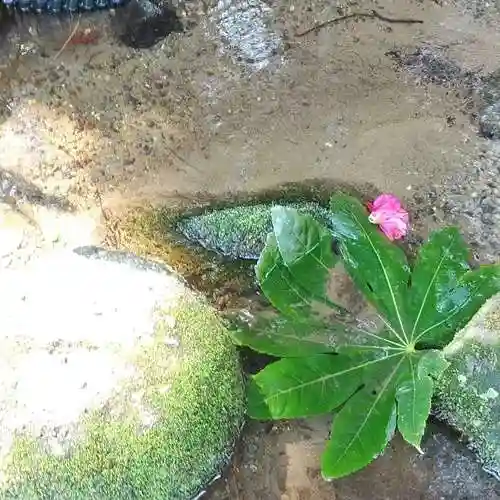 石尊神社の自然