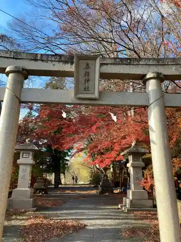 鼻顔稲荷神社の鳥居