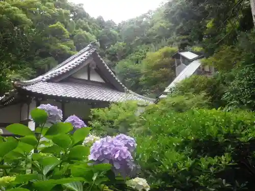 岩殿寺の景色