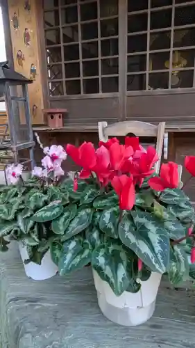 香雪院(京都府)