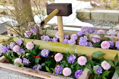 白山神社の手水舎