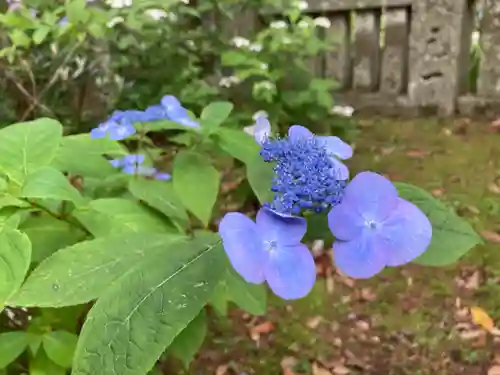 惣河内神社の自然