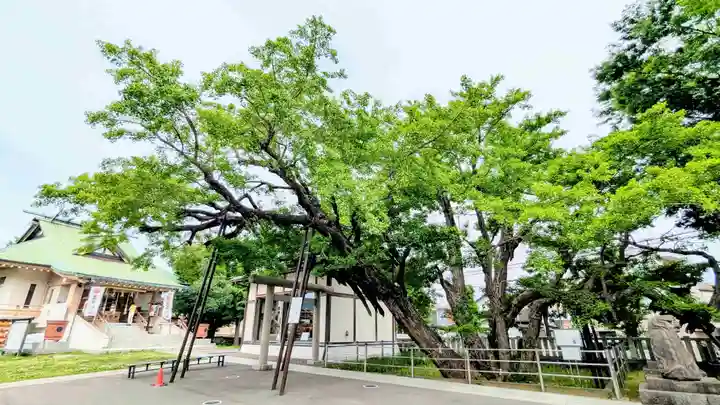 豊受神社の自然