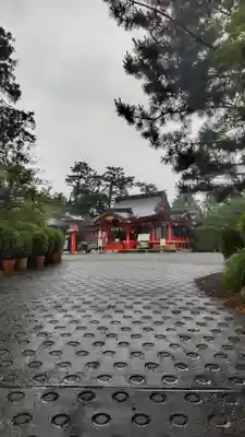 東伏見稲荷神社の本殿・本堂