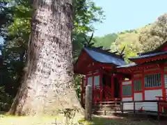 十根川神社の本殿