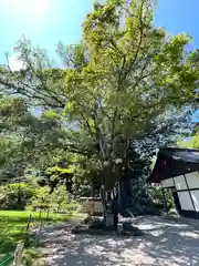 武田神社(山梨県)