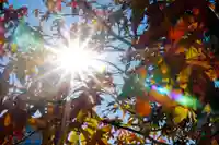 四ツ塚神社(長野県)