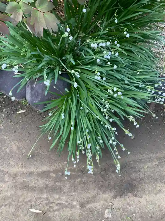 慶珊寺(神奈川県)