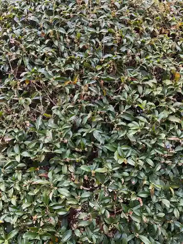 宗栄寺(愛知県)