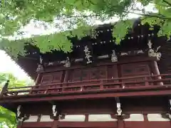 本土寺の本殿