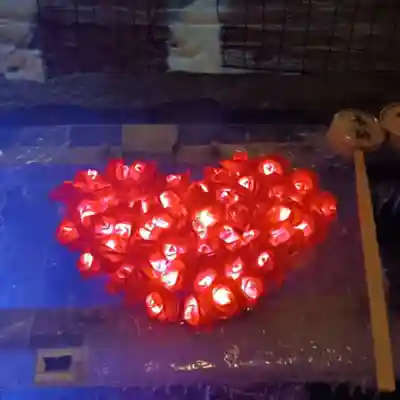 彌彦神社　(伊夜日子神社)(北海道)