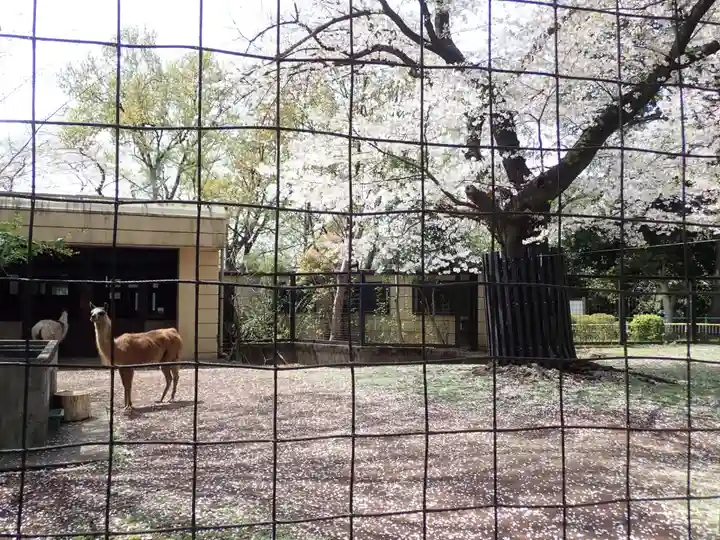 了源寺(神奈川県)