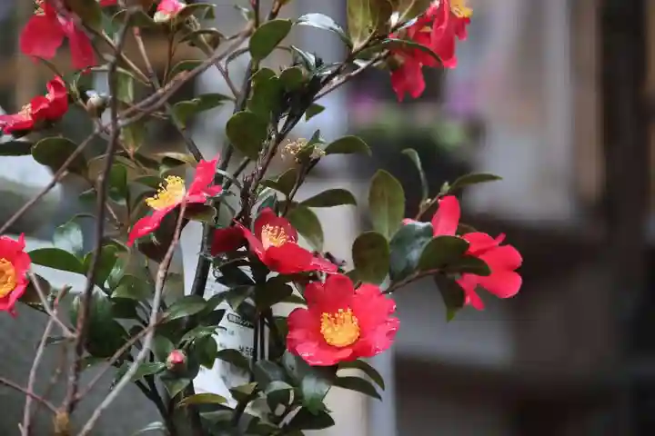 高司神社〜むすびの神の鎮まる社〜の授与品その他