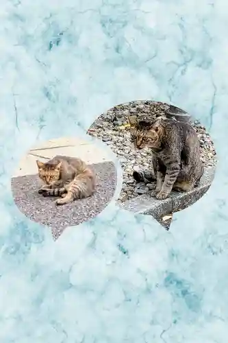 白金氷川神社の動物