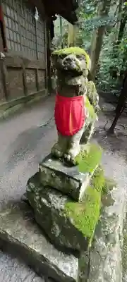 金持神社(鳥取県)