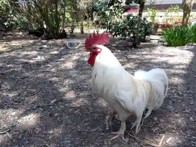 西雲寺(福井県)