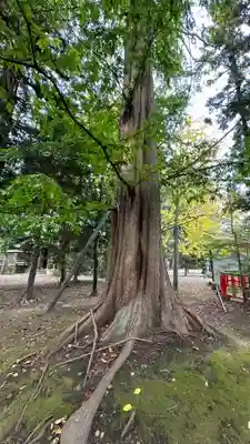 祇園八坂神社(宮城県)