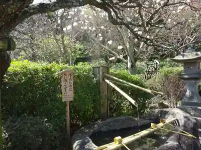 長谷寺(神奈川県)